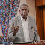 Het werk van Cheikh Anta Diop: Afrika herzien vanuit een afrikanistische invalshoek