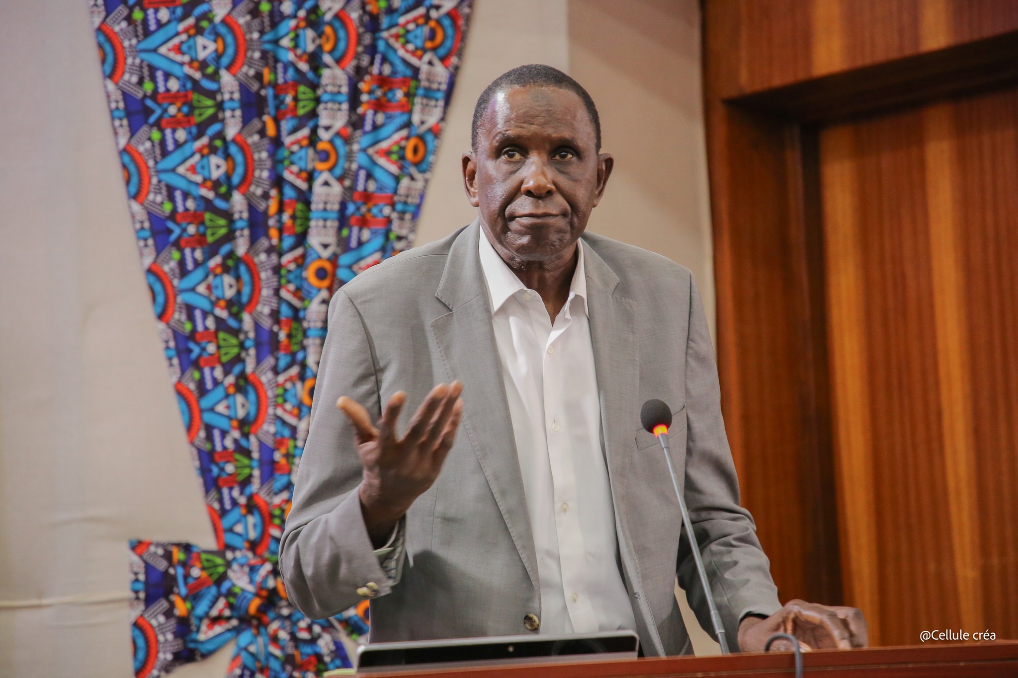 Het werk van Cheikh Anta Diop: Afrika herzien vanuit een afrikanistische invalshoek