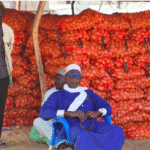 Niayes-tuinders eisen stopzetting van de verkoop van aardappels door agro-industriële bedrijven