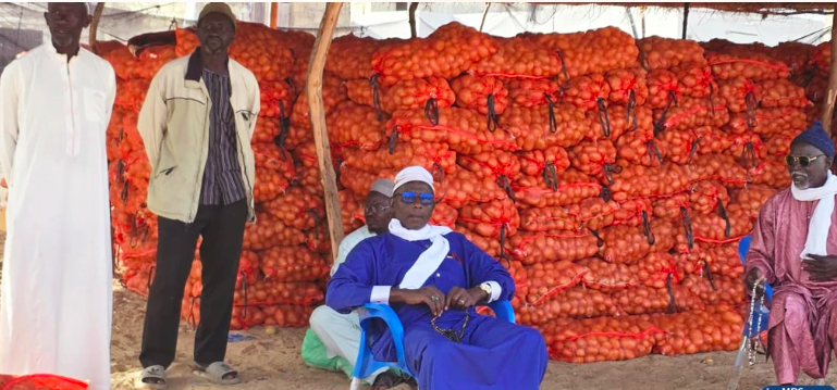 Niayes-tuinders eisen stopzetting van de verkoop van aardappels door agro-industriële bedrijven