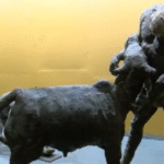 Ousmane Sow, Tijdloos! krijgt een blijvende plek in het Museum van de Zwarte Beschavingen