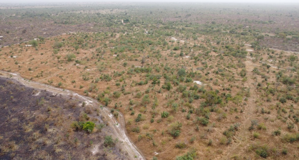 35.000 hectare om de fauna te beschermen: de ambitie van Grand Maka Yop in Kaffrine