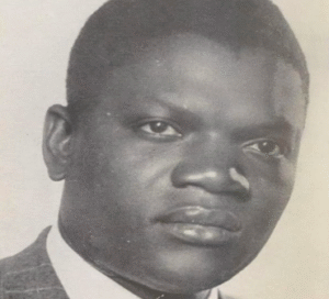Karim – Senegalees roman van Ousmane Socé Diop: het romaneske op de proef van ontgoocheling