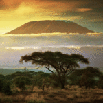 Afrika warmt sneller op dan de rest van de wereld