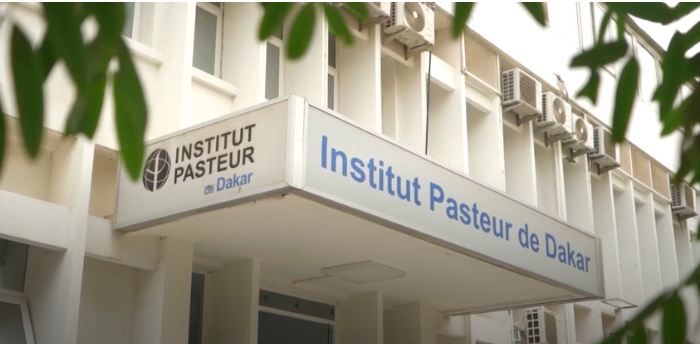Dakar midden in de strijd tegen het hantavirus
