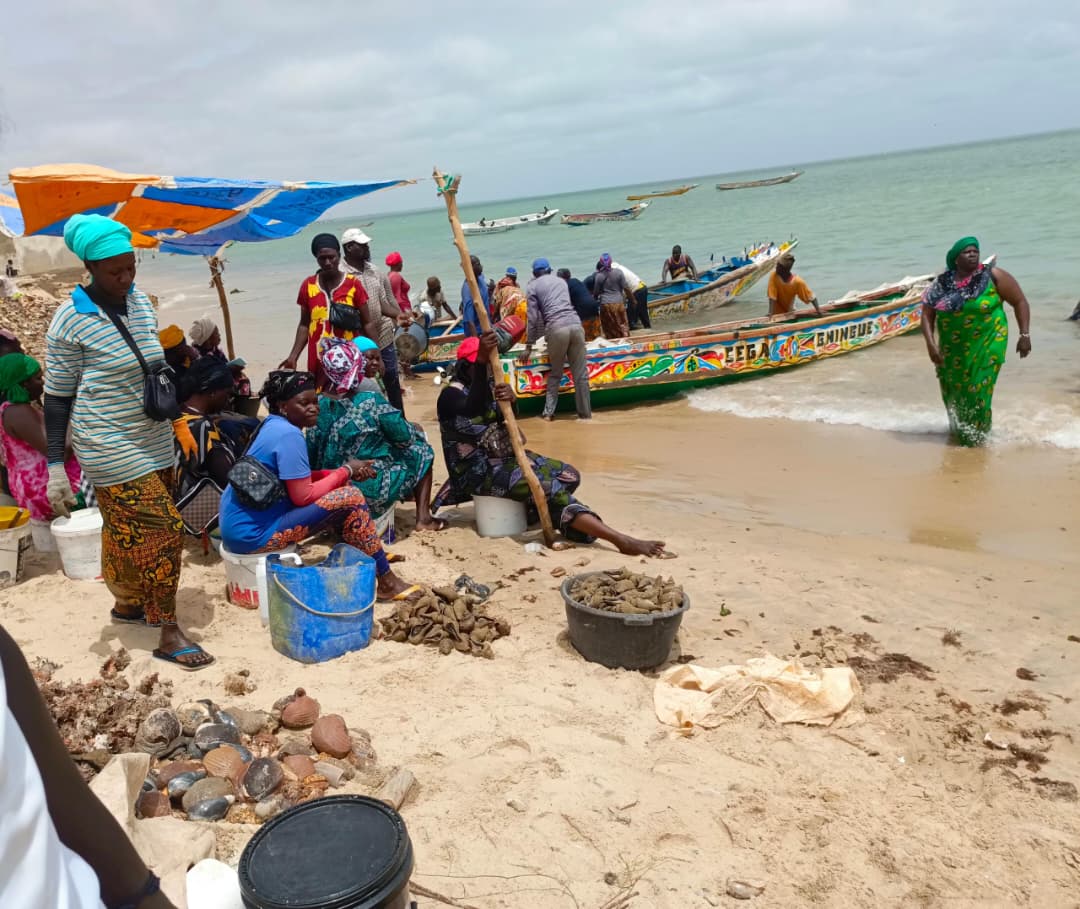 Participatief toezicht versterkt de strijd tegen illegale visserij in Pointe-Sarène