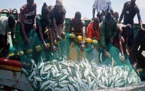 CONAPED pleit voor een herontwerp van het visserijbestuur in Senegal