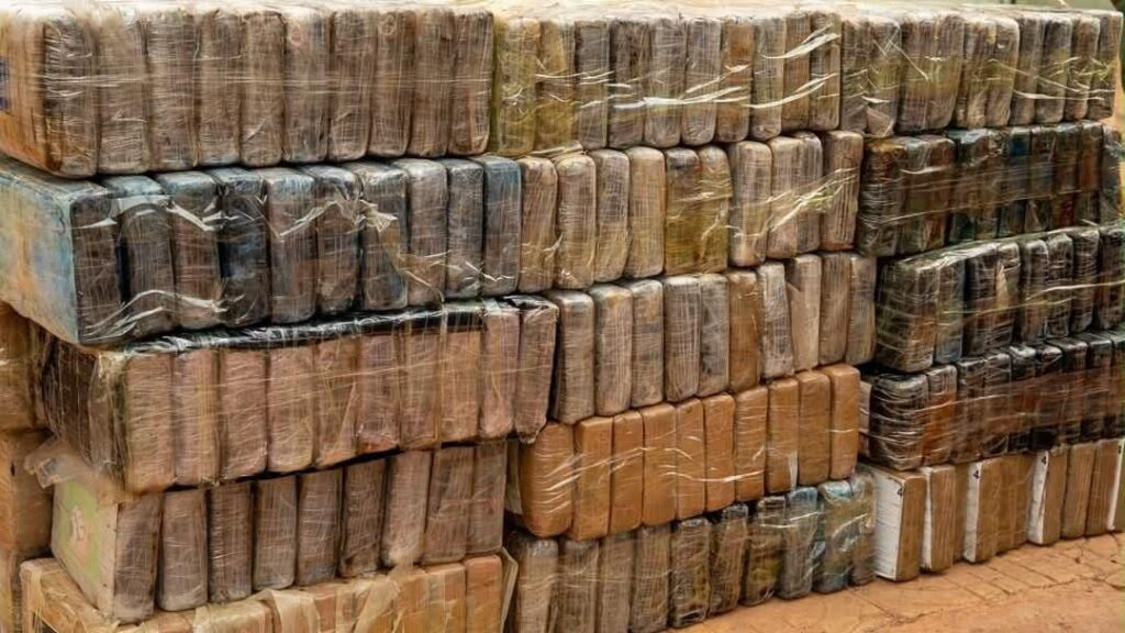 Tambacounda: Douane neemt bijna een ton cocaïne in beslag