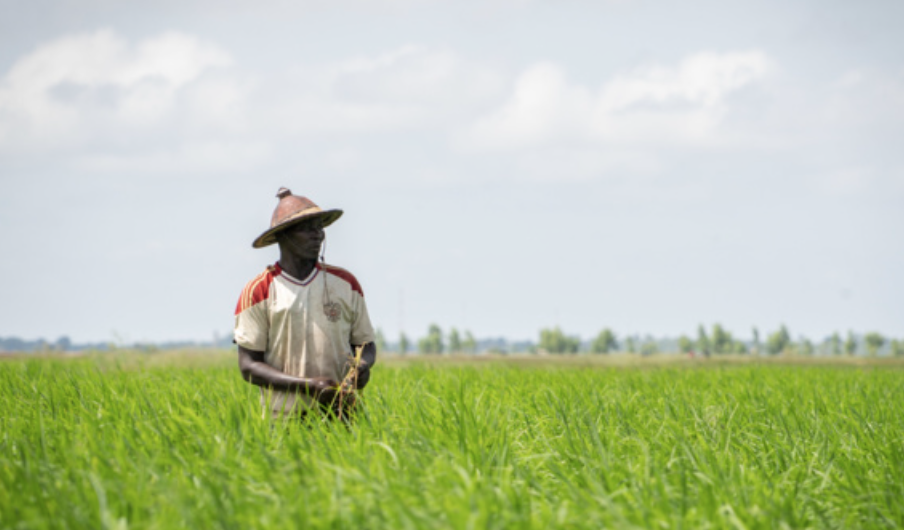 Agropole Centrum en CNAAS versterken telers op het gebied van landbouwverzekeringen
