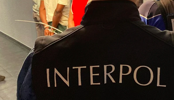 Operatie Jakhals IV: Interpol meldt 58 arrestaties en 263 verdachten geïdentificeerd
