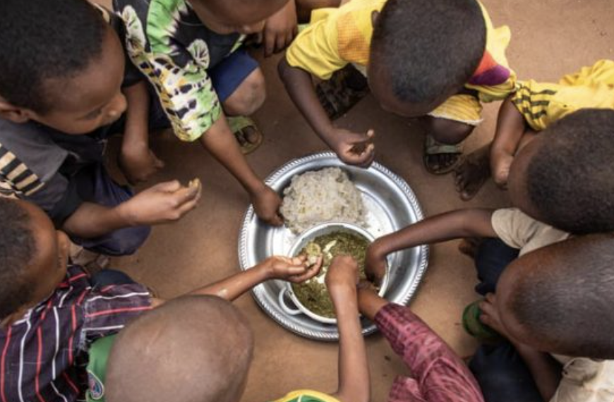 VN waarschuwt voor voedselcrisis in West-Afrika