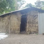 Casamance: anticiperen op de uitdagingen bij de terugkeer van gedwongen ontheemden