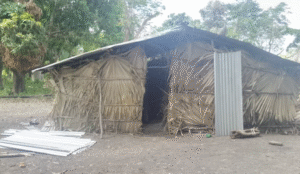 Casamance: anticiperen op de uitdagingen bij de terugkeer van gedwongen ontheemden