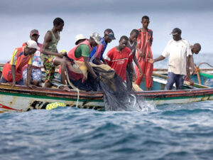 De kust van Senegal onder druk