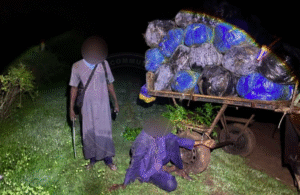 Drugshandel: 427 kg cannabis in Mbodiène (Senegal) in beslag genomen