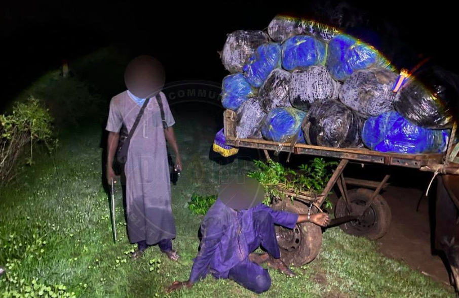 Drugshandel: 427 kg cannabis in Mbodiène (Senegal) in beslag genomen