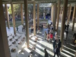 Hoogtepunten van de Biennale: tussen internationale tentoonstellingen, Groot Getuige en Carte Blanche