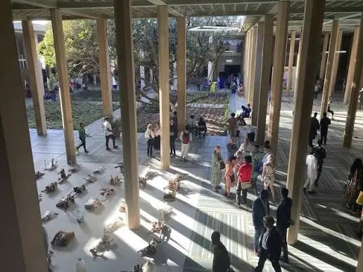 Hoogtepunten van de Biennale: tussen internationale tentoonstellingen, Groot Getuige en Carte Blanche