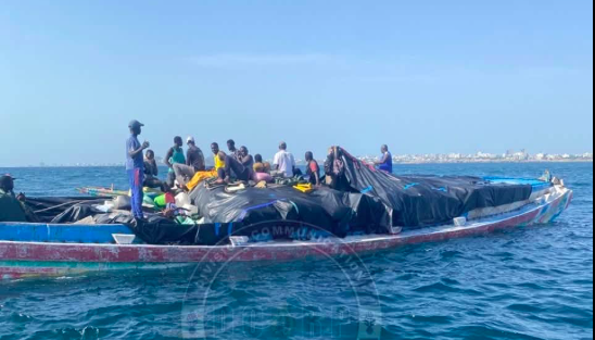 Dakar: zes ton smokkelkipdijen onderschept bij het Sarpaneiland