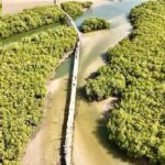 Delta van de Saloum-rivier, Wandié-moeras, een uitgeput eiland
