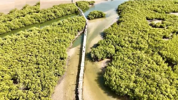 Delta van de Saloum-rivier, Wandié-moeras, een uitgeput eiland