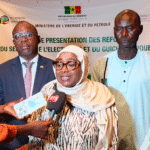 Elektriciteit in Senegal: Een one-stop-shop die de toetreding van nieuwe operatoren vergemakkelijkt