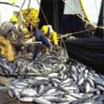 Impactonderzoeken: Transparantie loopt vast
