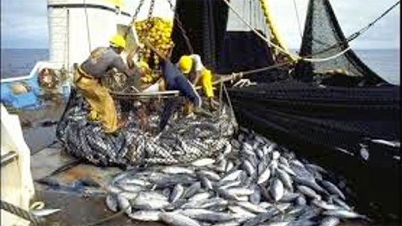 Impactonderzoeken: Transparantie loopt vast