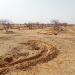 Sahel: de urgentie van duurzaamheid | SenePlus
