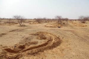 Sahel: de urgentie van duurzaamheid | SenePlus