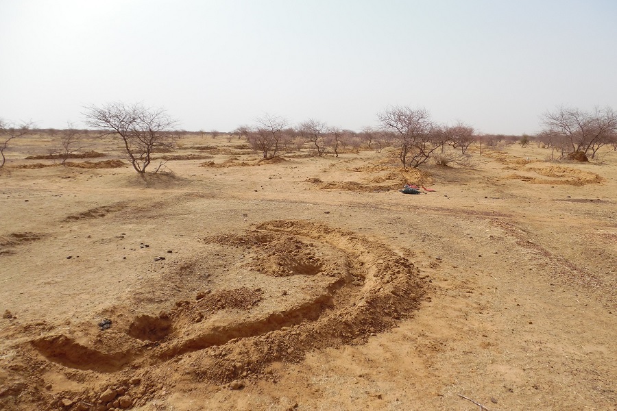 Sahel: de urgentie van duurzaamheid | SenePlus