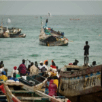 Senegal: vis voor buitenlandse kwekerijen in plaats van de lokale markt