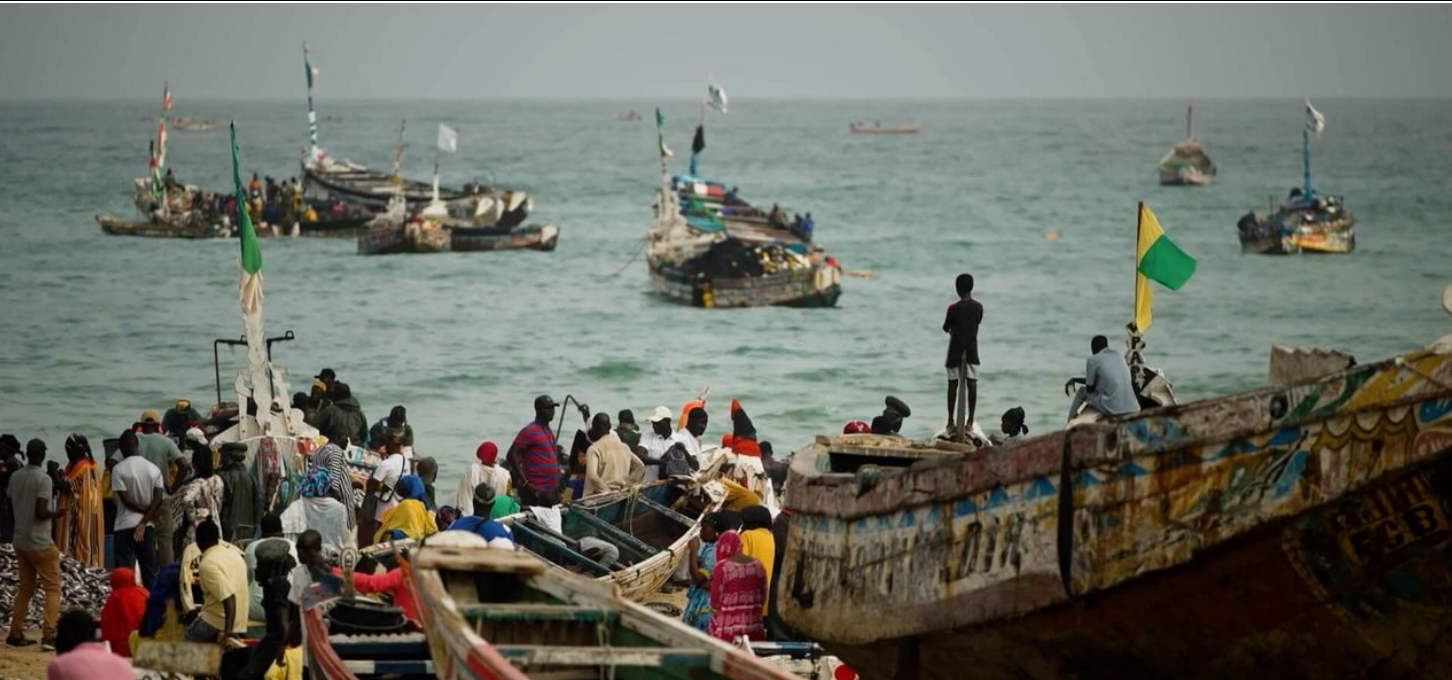 Senegal: vis voor buitenlandse kwekerijen in plaats van de lokale markt