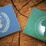 VN en Dakar pleiten voor een Afrika dat beter vertegenwoordigd is