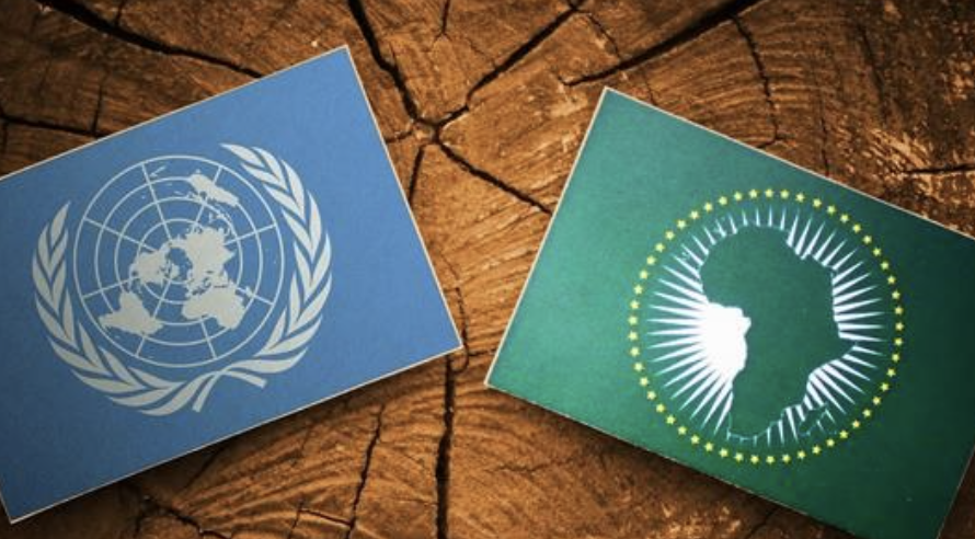 VN en Dakar pleiten voor een Afrika dat beter vertegenwoordigd is
